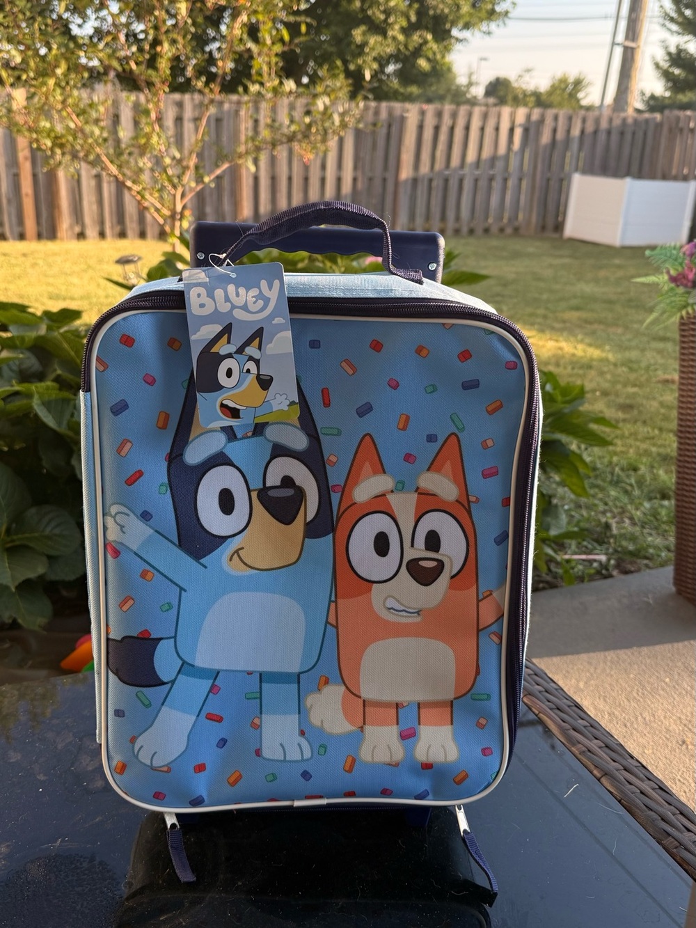Kids Bluey rolling suitcase